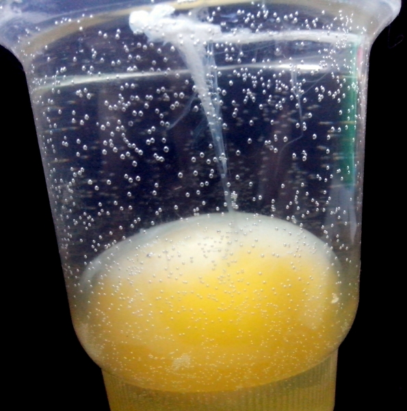 Определение порчи по яйцу в стакане с водой расшифровка с фото